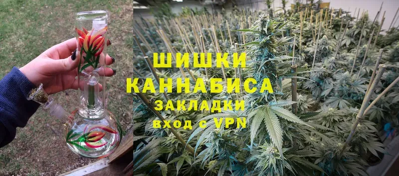 Каннабис гибрид  Каменка 